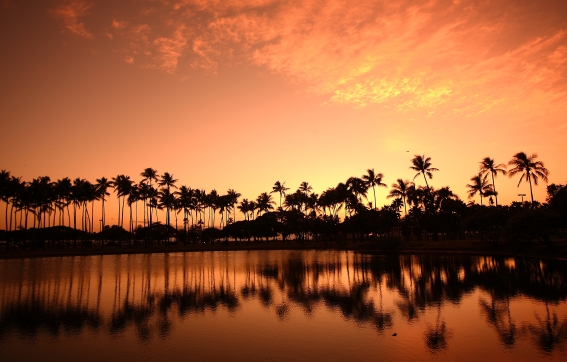 Ala Moana_Sunset_3360.JPG